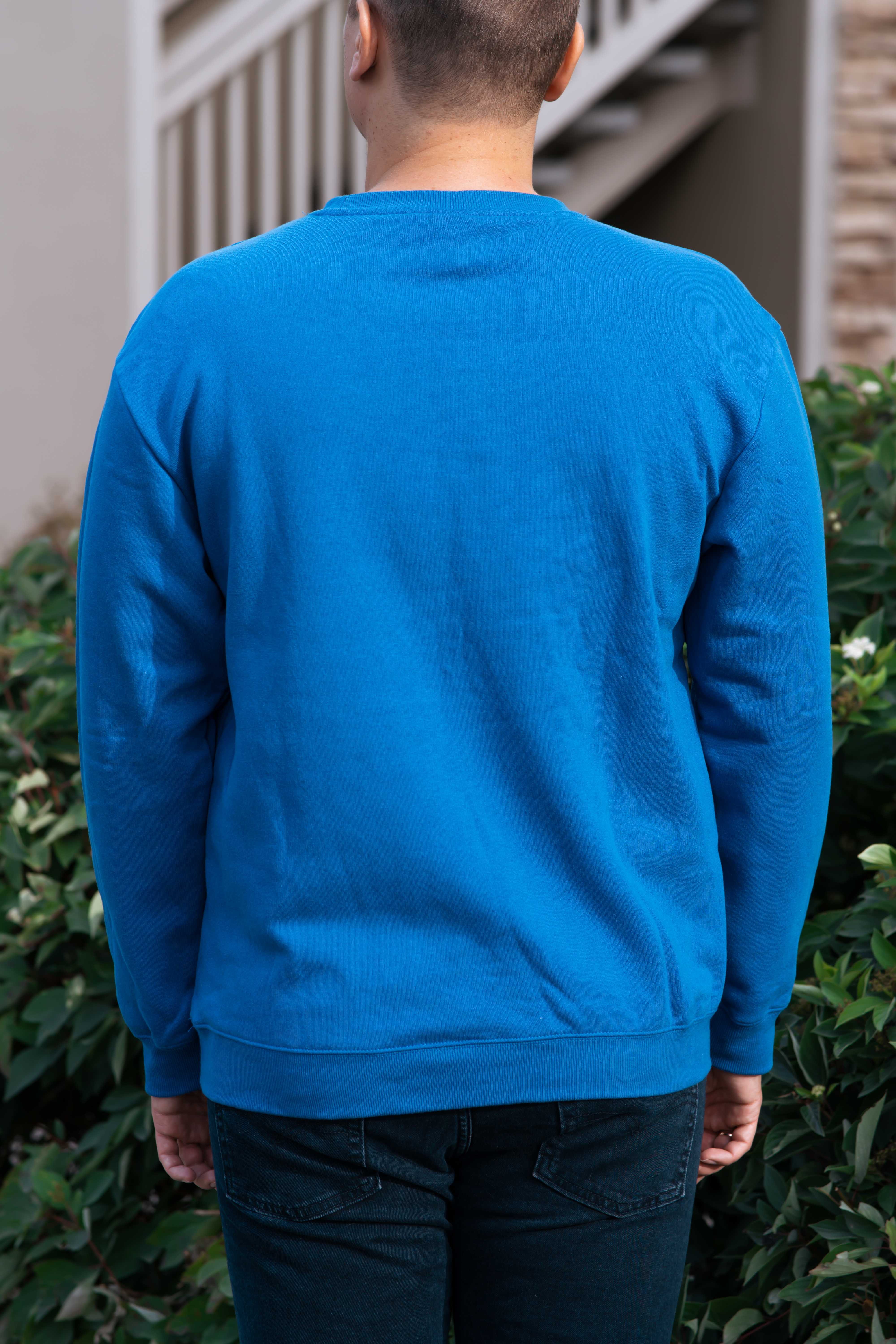 Men's Blue Sweatshirt "Vilna"